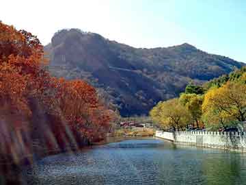 大三巴一肖二码最准，黑狼基地